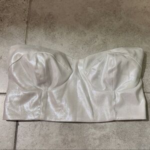 Shimmering Silver Strapless Top #038